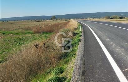 ÇANAKKALE / KÜÇÜKANAFARTALAR / ÇAYIRLAR MEVKİİ 5356 m2 TARLA