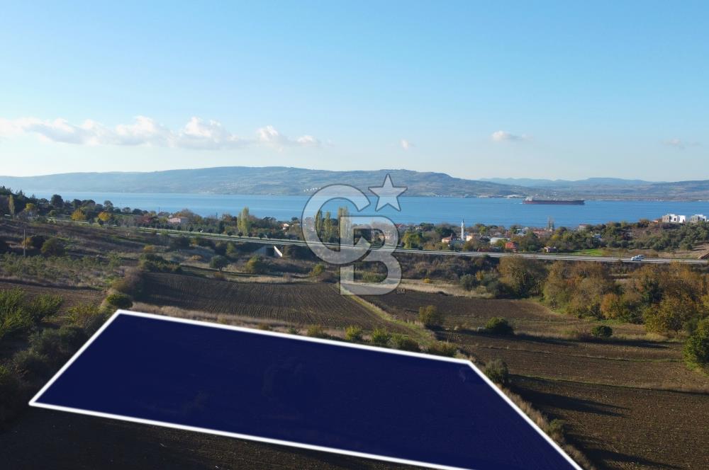 Çanakkale Lapseki Suluca Boğaz Gören 2.899m² Yatırımlık Tarla