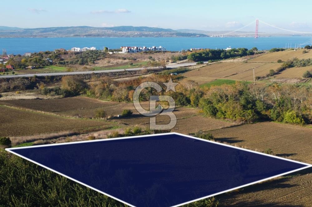 Çanakkale Lapseki Suluca Boğaz Gören 2.899m² Yatırımlık Tarla