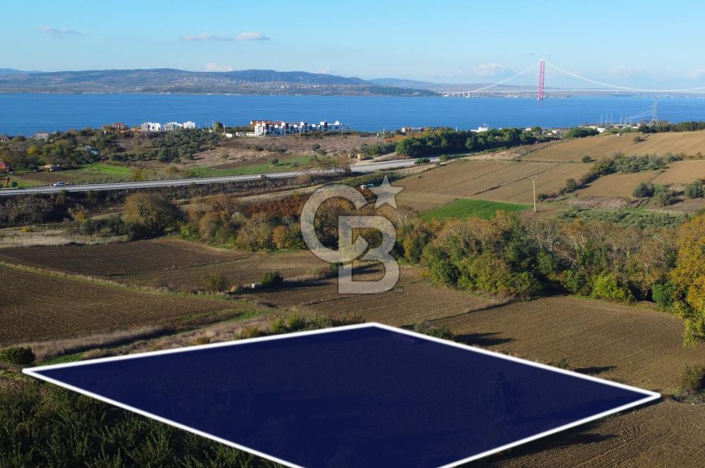 Çanakkale Lapseki Suluca Boğaz Gören 2.899m² Yatırımlık Tarla