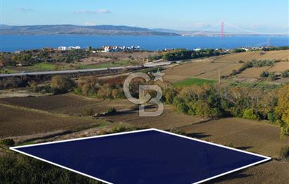 Çanakkale Lapseki Suluca Boğaz Gören 2.899m² Yatırımlık Tarla