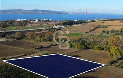 Çanakkale Lapseki Suluca Boğaz Gören 2.899m² Yatırımlık Tarla