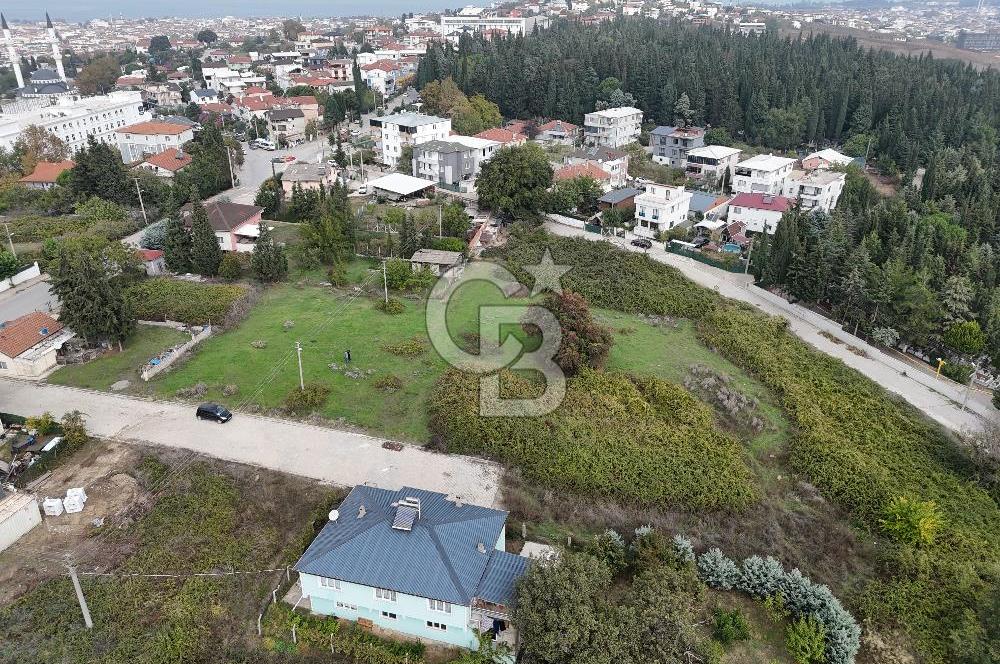 YALOVA FEVZİÇAKMAK 370 M2 MÜSTAKİL VİLLA ARSASI!