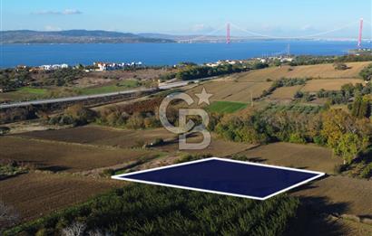 Çanakkale Lapseki Suluca Boğaz Gören 2.899m² Yatırımlık Tarla