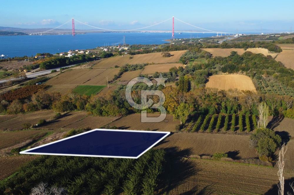 Çanakkale Lapseki Suluca Boğaz Gören 2.899m² Yatırımlık Tarla