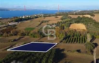 Çanakkale Lapseki Suluca Boğaz Gören 2.899m² Yatırımlık Tarla