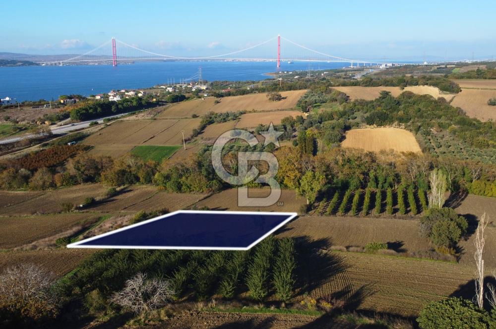 Çanakkale Lapseki Suluca Boğaz Gören 2.899m² Yatırımlık Tarla