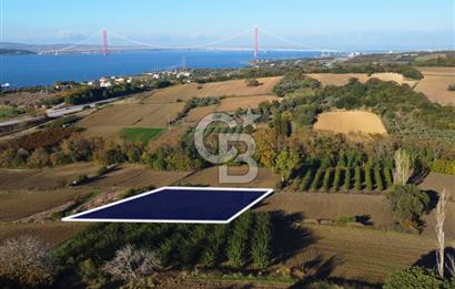 Çanakkale Lapseki Suluca Boğaz Gören 2.899m² Yatırımlık Tarla