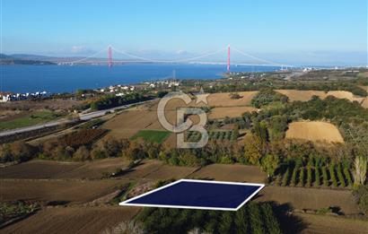 Çanakkale Lapseki Suluca Boğaz Gören 2.899m² Yatırımlık Tarla