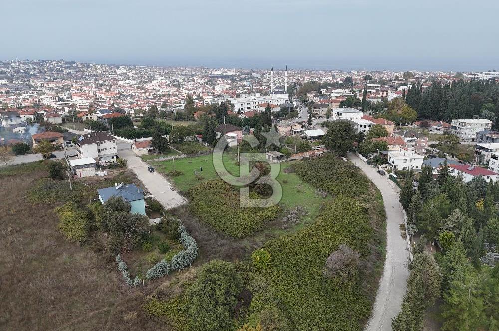 YALOVA FEVZİÇAKMAK 370 M2 MÜSTAKİL VİLLA ARSASI!