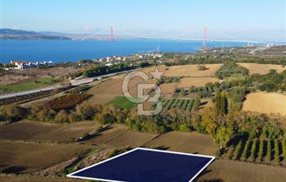Çanakkale Lapseki Suluca Boğaz Gören 2.899m² Yatırımlık Tarla