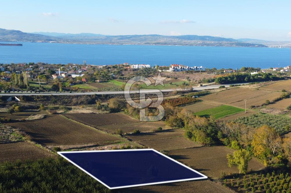 Çanakkale Lapseki Suluca Boğaz Gören 2.899m² Yatırımlık Tarla