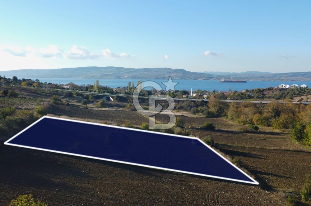 Çanakkale Lapseki Suluca Boğaz Gören 2.899m² Yatırımlık Tarla