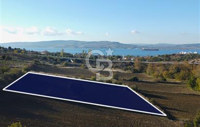 Çanakkale Lapseki Suluca Boğaz Gören 2.899m² Yatırımlık Tarla