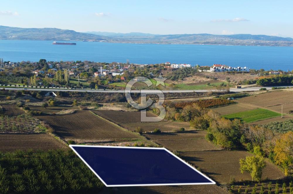 Çanakkale Lapseki Suluca Boğaz Gören 2.899m² Yatırımlık Tarla