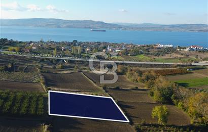 Çanakkale Lapseki Suluca Boğaz Gören 2.899m² Yatırımlık Tarla