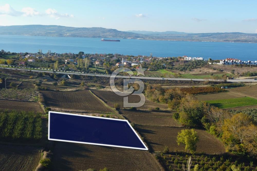 Çanakkale Lapseki Suluca Boğaz Gören 2.899m² Yatırımlık Tarla