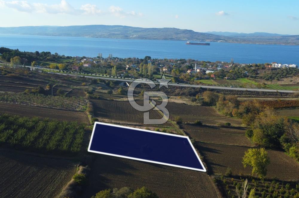 Çanakkale Lapseki Suluca Boğaz Gören 2.899m² Yatırımlık Tarla
