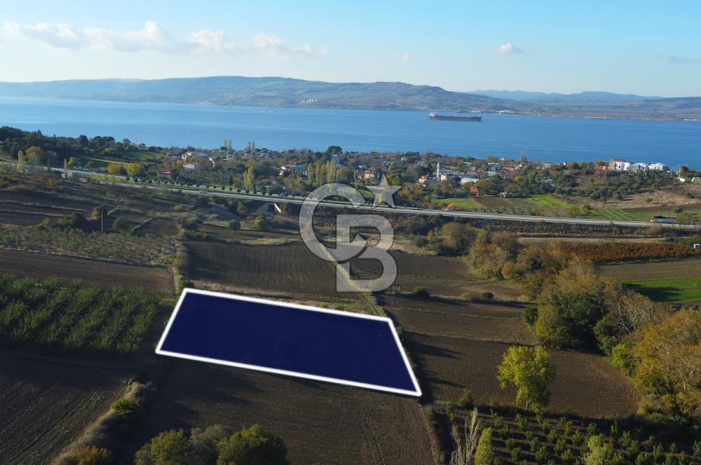 Çanakkale Lapseki Suluca Boğaz Gören 2.899m² Yatırımlık Tarla