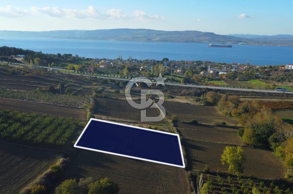 Çanakkale Lapseki Suluca Boğaz Gören 2.899m² Yatırımlık Tarla