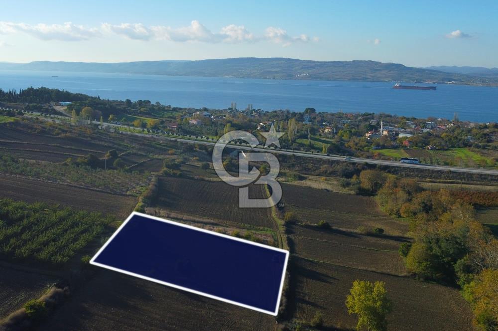 Çanakkale Lapseki Suluca Boğaz Gören 2.899m² Yatırımlık Tarla