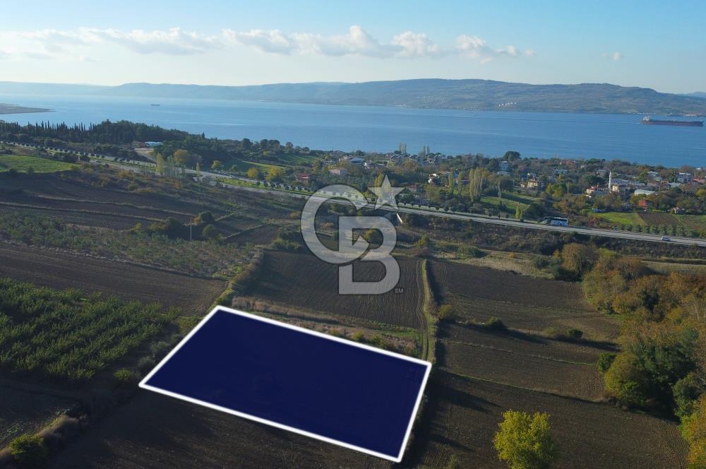 Çanakkale Lapseki Suluca Boğaz Gören 2.899m² Yatırımlık Tarla
