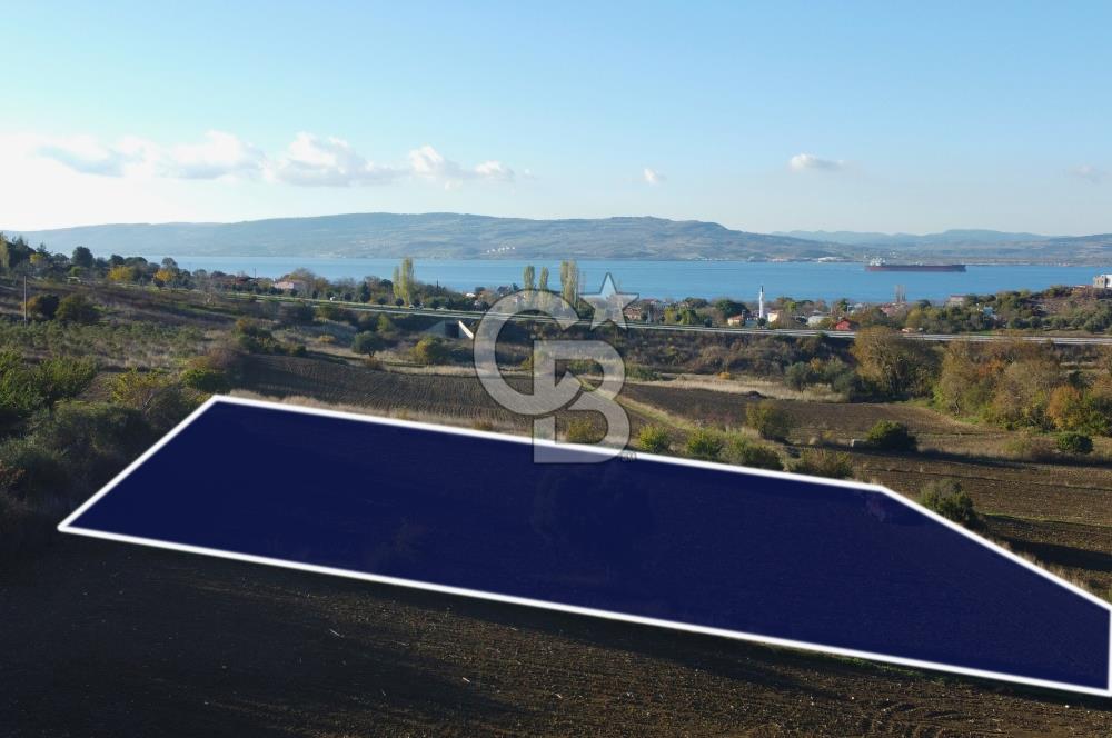 Çanakkale Lapseki Suluca Boğaz Gören 2.899m² Yatırımlık Tarla