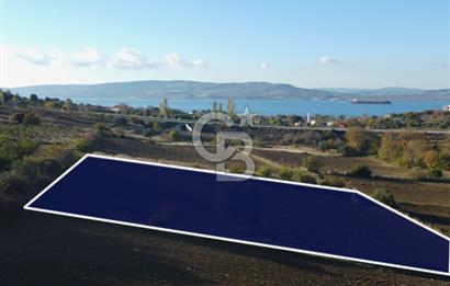 Çanakkale Lapseki Suluca Boğaz Gören 2.899m² Yatırımlık Tarla