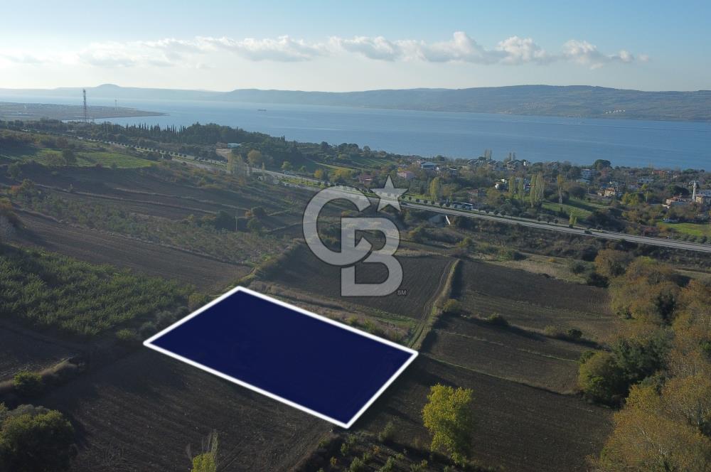 Çanakkale Lapseki Suluca Boğaz Gören 2.899m² Yatırımlık Tarla