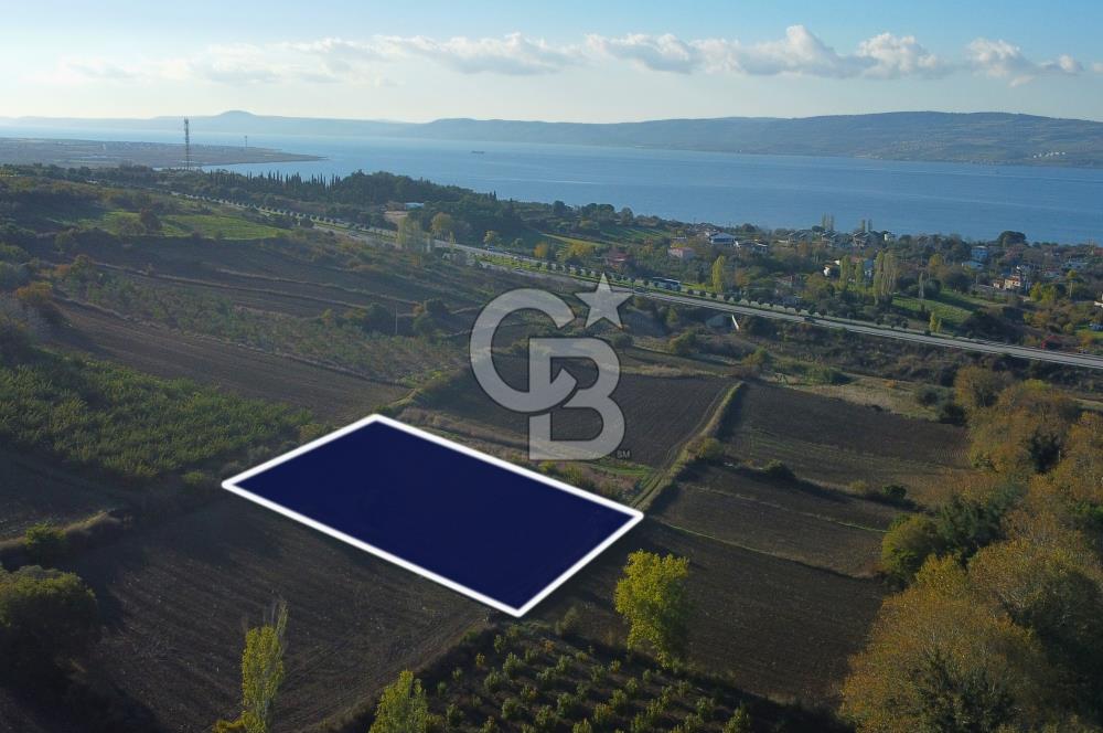 Çanakkale Lapseki Suluca Boğaz Gören 2.899m² Yatırımlık Tarla