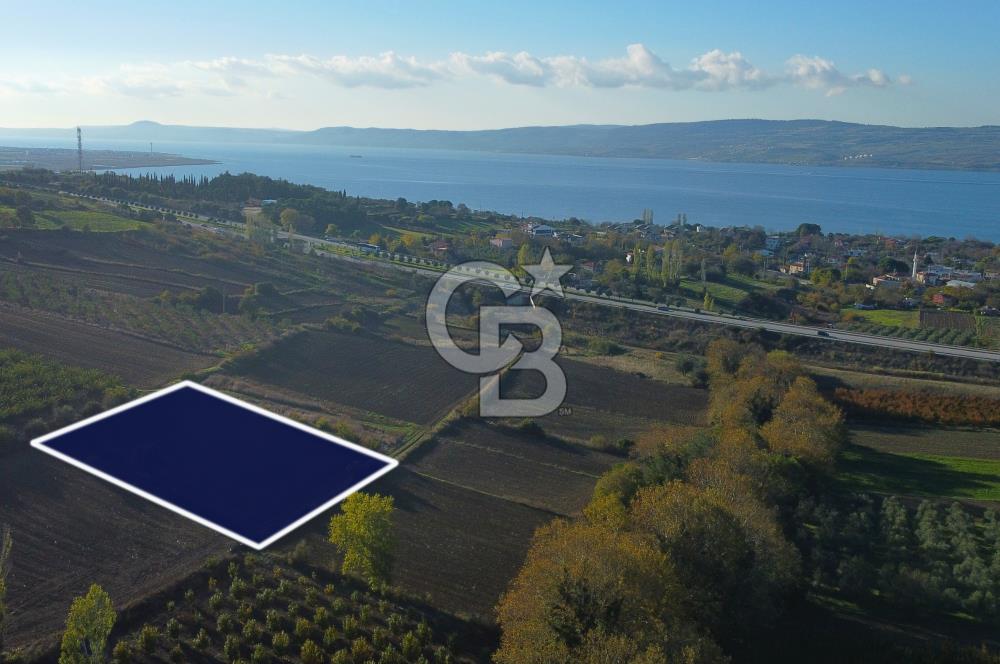 Çanakkale Lapseki Suluca Boğaz Gören 2.899m² Yatırımlık Tarla