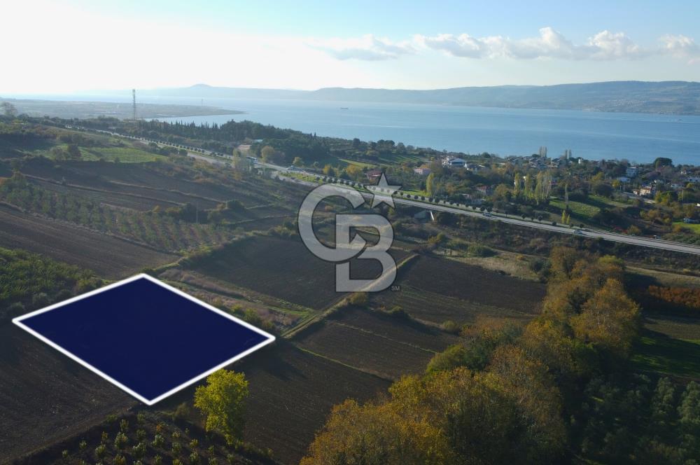 Çanakkale Lapseki Suluca Boğaz Gören 2.899m² Yatırımlık Tarla