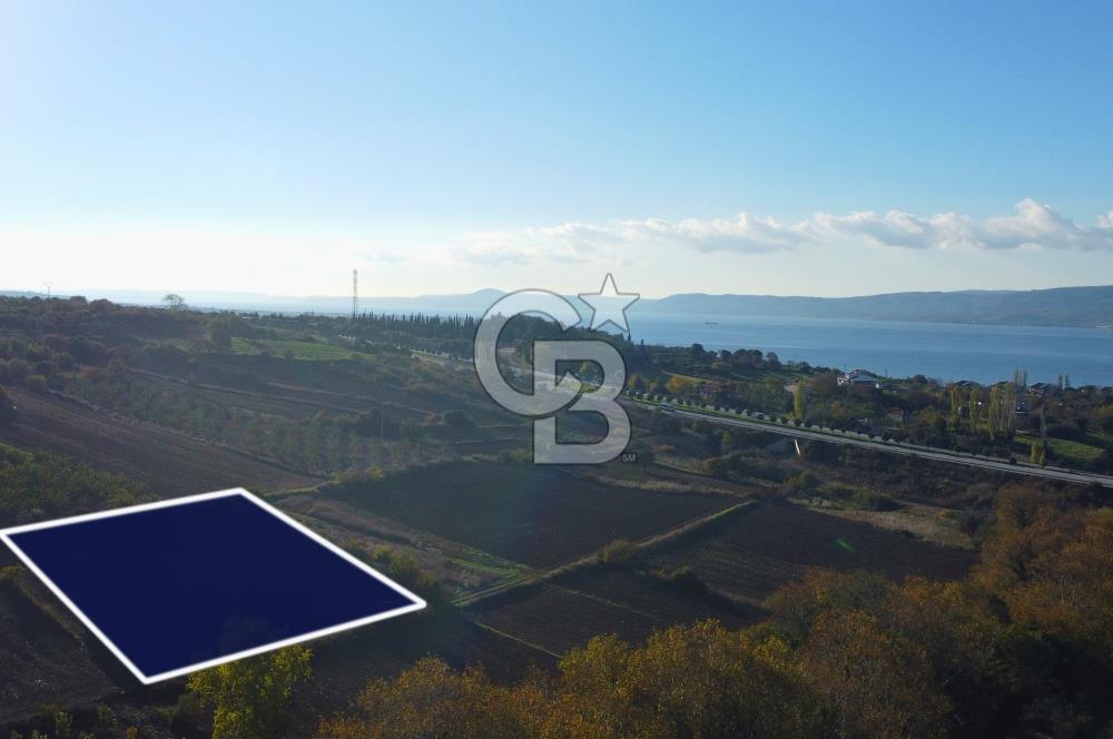 Çanakkale Lapseki Suluca Boğaz Gören 2.899m² Yatırımlık Tarla