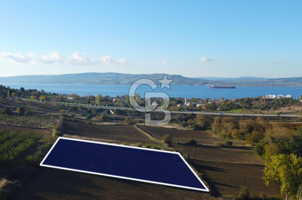 Çanakkale Lapseki Suluca Boğaz Gören 2.899m² Yatırımlık Tarla