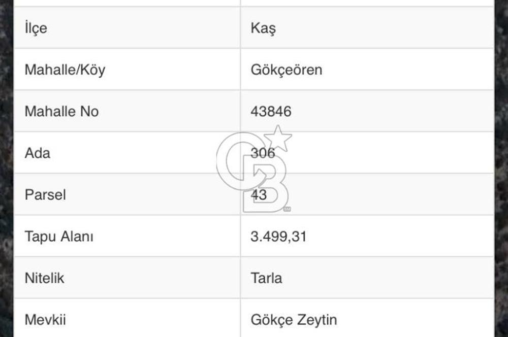 ANTALYA KAŞ DENİZE 319 M. TEK TAPU 3499 M2 SATILIK TARLA