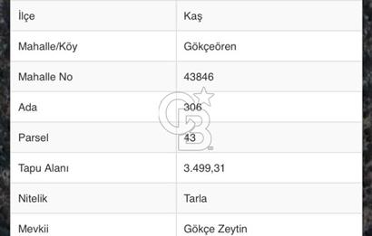 ANTALYA KAŞ DENİZE 319 M. TEK TAPU 3499 M2 SATILIK TARLA