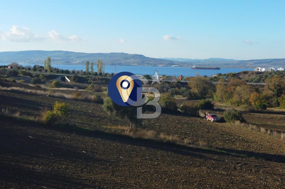 Çanakkale Lapseki Suluca Boğaz Gören 2.899m² Yatırımlık Tarla