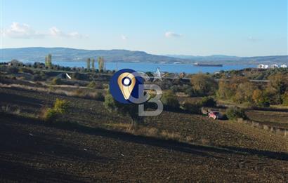 Çanakkale Lapseki Suluca Boğaz Gören 2.899m² Yatırımlık Tarla