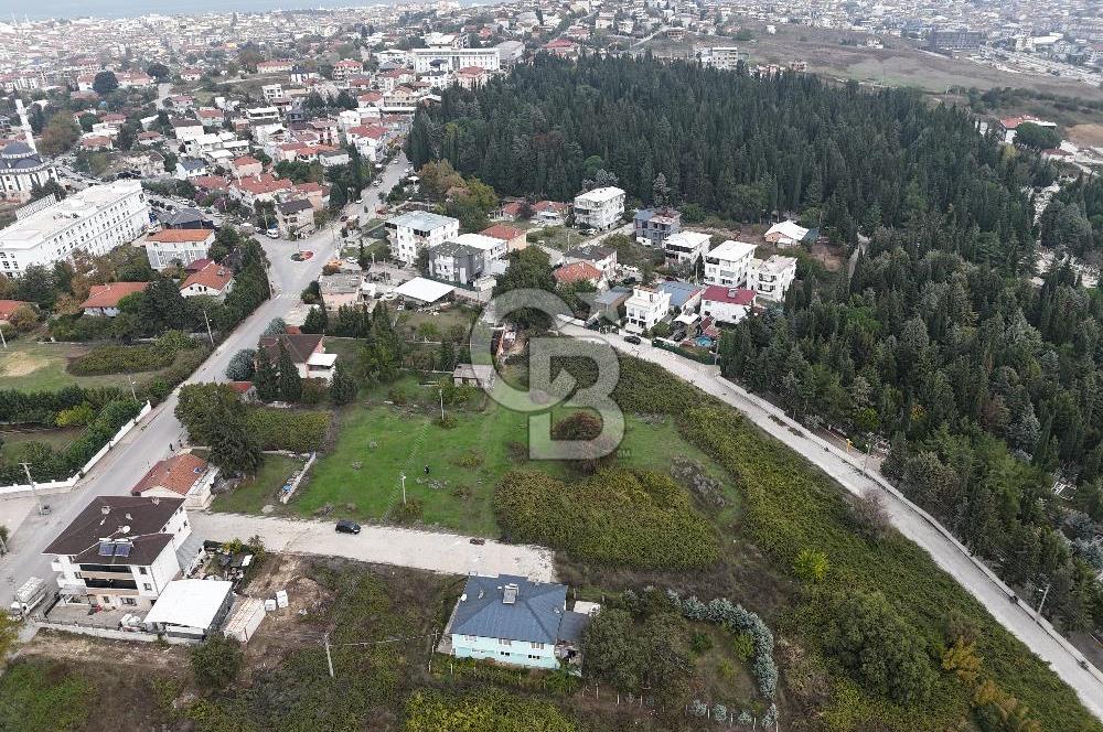 YALOVA FEVZİÇAKMAK 370 M2 MÜSTAKİL VİLLA ARSASI!