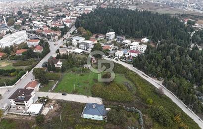 YALOVA FEVZİÇAKMAK 370 M2 MÜSTAKİL VİLLA ARSASI!