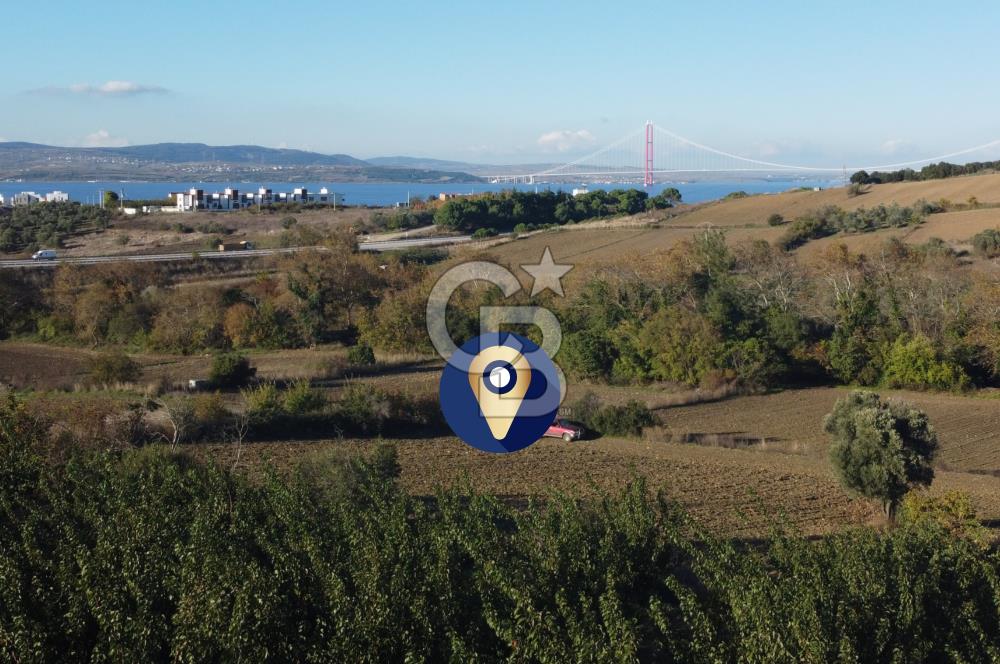 Çanakkale Lapseki Suluca Boğaz Gören 2.899m² Yatırımlık Tarla