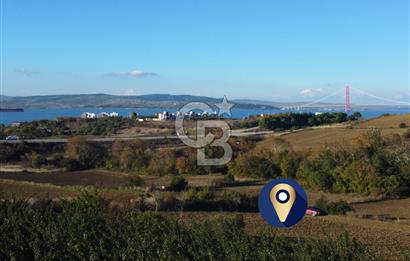 Çanakkale Lapseki Suluca Boğaz Gören 2.899m² Yatırımlık Tarla