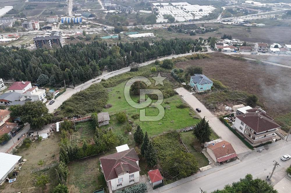 YALOVA MERKEZ FEVZİÇAKMAK MANZARALI VİLLA 470 m2 VİLLA ARSASI!