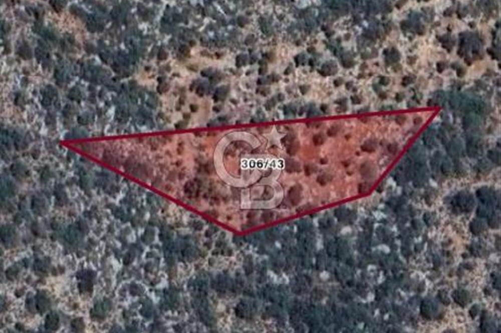 ANTALYA KAŞ DENİZE 319 M. TEK TAPU 3499 M2 SATILIK TARLA