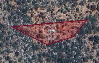 ANTALYA KAŞ DENİZE 319 M. TEK TAPU 3499 M2 SATILIK TARLA