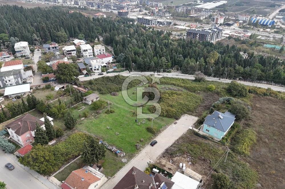YALOVA FEVZİÇAKMAK 370 M2 MÜSTAKİL VİLLA ARSASI!