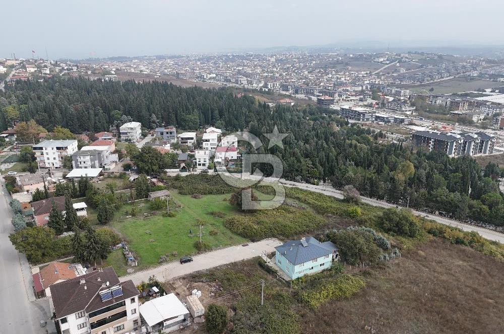 YALOVA MERKEZ FEVZİÇAKMAK TOPLAM 5 PARSEL 2322 M2 ARSA