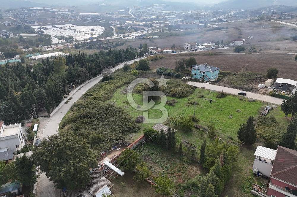 YALOVA MERKEZ FEVZİÇAKMAK TOPLAM 5 PARSEL 2322 M2 ARSA