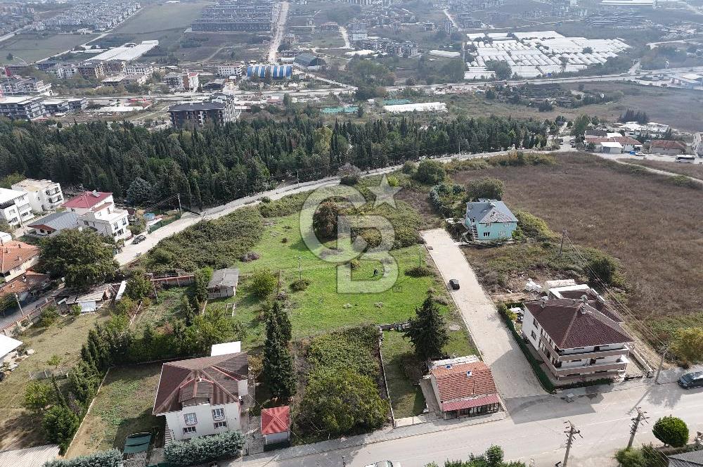 YALOVA MERKEZ FEVZİÇAKMAK TOPLAM 5 PARSEL 2322 M2 ARSA