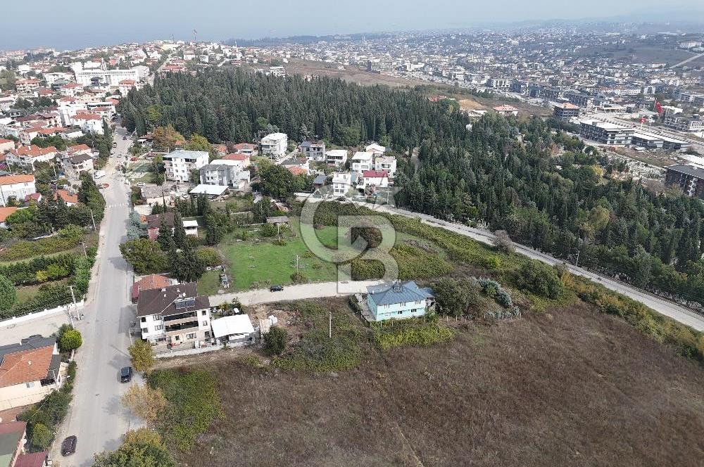YALOVA MERKEZ FEVZİÇAKMAK TOPLAM 5 PARSEL 2322 M2 ARSA